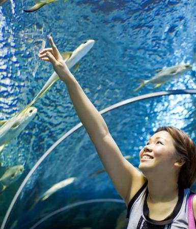 tours and attractions