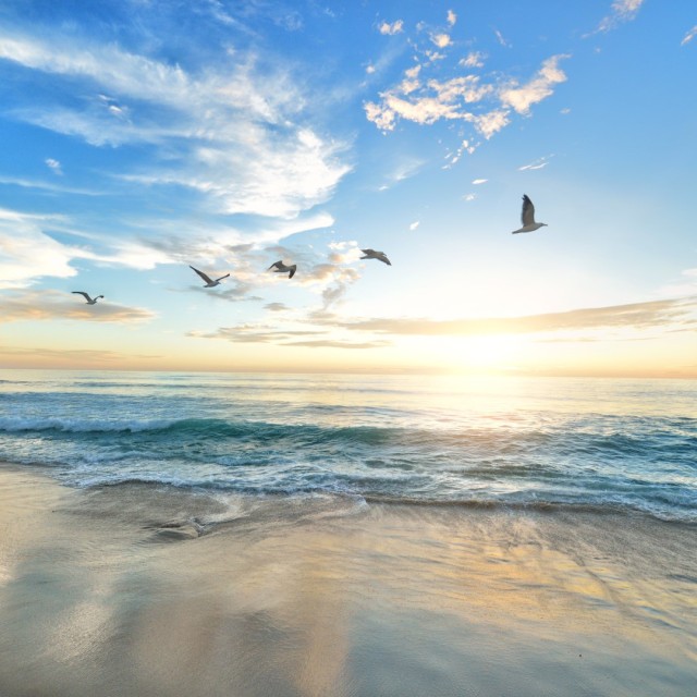 frank mckenna OD9EOzfSOh0 unsplash1